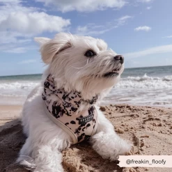 Ivory Tort Bow Tie -Cocopup London 31 2270a93f ddca 4796 a24d 70d86903f493