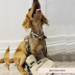 Bag Strap - Ivory Tort -Cocopup London 31 87ed49fe 7fa3 4169 8eae 4eaddbddb808