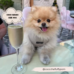 Brown Tweed Adjustable Neck Harness -Cocopup London 33 9d186e67 fa5f 4c76 aba4 22a011a08c89