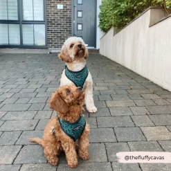 Khaki Leopard Adjustable Neck Harness -Cocopup London 33 be2ccdb6 5de0 4a15 a623 f5a5916688e9