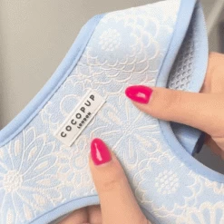 Luxe Adjustable Neck Harness - Baby Blue Flower -Cocopup London 345