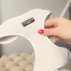 Teddy Adjustable Neck Harness - Dolly -Cocopup London 347