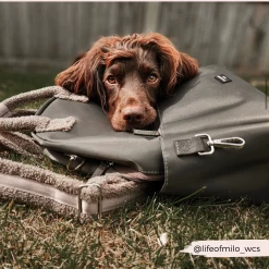 Rucksack - Mocha -Cocopup London 36 36927e3a c606 4e82 bd7a 13b09b70421f