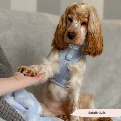 NAKD Adjustable Neck Harness, Lead, Collar And Poop Bag Holder Bundle - Bubblegum -Cocopup London 36 dcc0997b 043d 44fd 9724 12eb477d3633