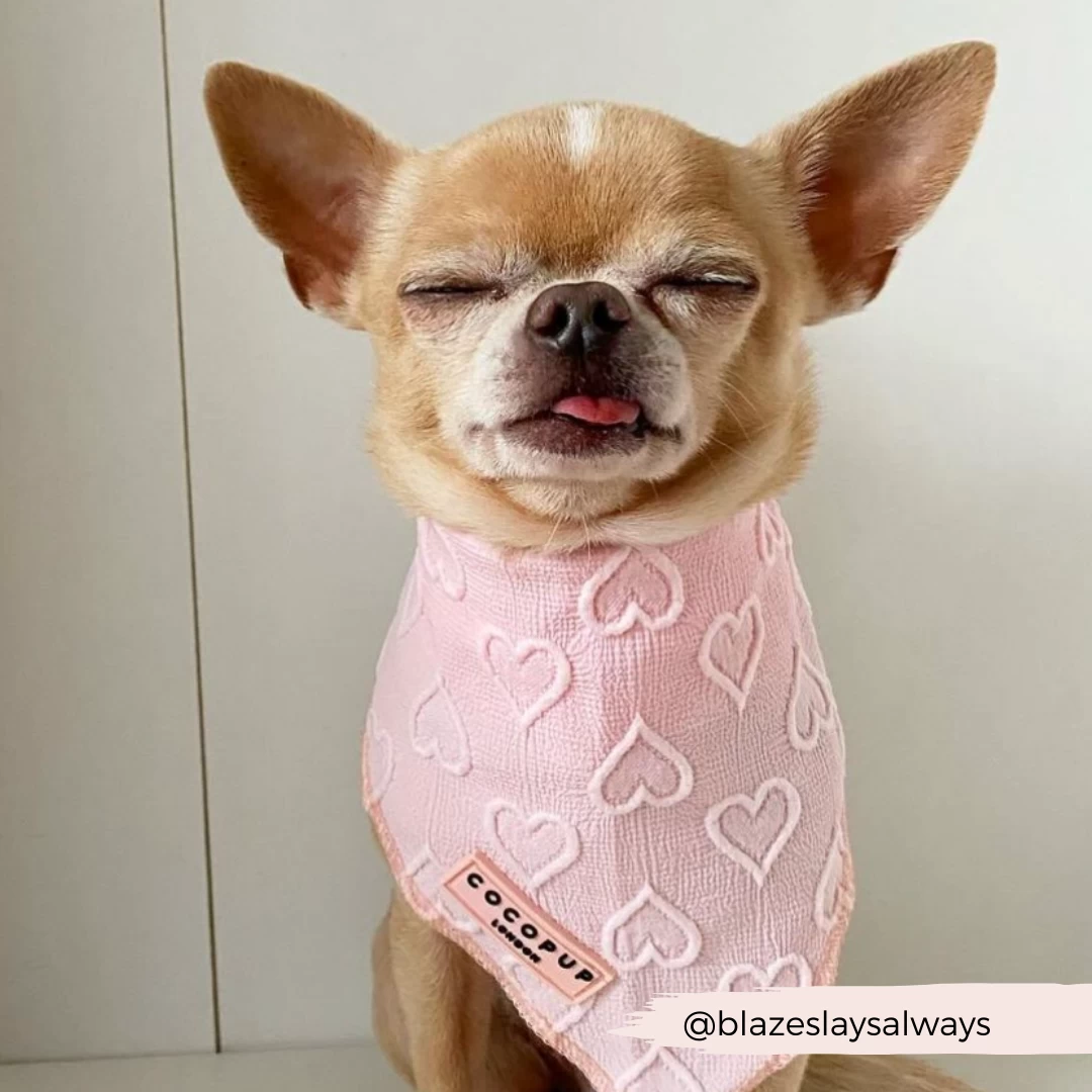 Luxe Bandana - Baby Pink Heart 6 Luxe Bandana - Baby Pink Heart - Image 4