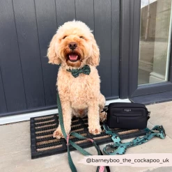 Bag Strap - Khaki Leopard -Cocopup London 37 c45f9b22 df3e 4c46 bfe1 812c48b20e1b