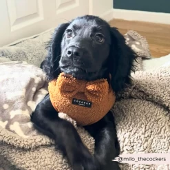 Teddy Bow Tie - Paddington 15 Teddy Bow Tie - Paddington -Cocopup London 38 3dde7b51 23f1 45ac 996c 8df1e20d06cc