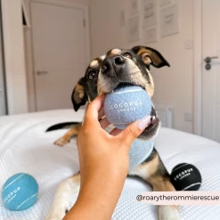 Tennis Ball - Ballin' Blue -Cocopup London 39 414cd7e3 5c1e 4936 a0aa 582a2ccd4c02