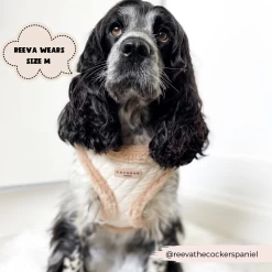 Quilted Adjustable Neck Harness -Cocopup London 39 c94dddc4 3cb9 4685 a0f5 bcac04aef934