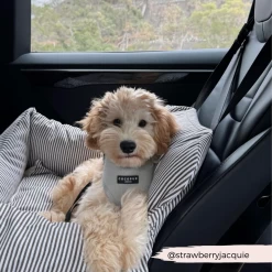 Sage Tweed Adjustable Neck Harness -Cocopup London 39 fae98db9 5484 4232 9aa3 6bdfae721299