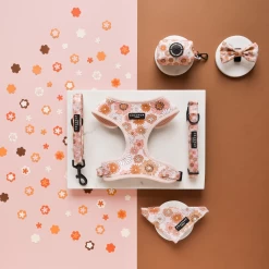 Groovy Florals Adjustable Neck Harness 24 Groovy Florals Adjustable Neck Harness -Cocopup London 3 05394ea7 3145 477d 852d 26b6aa8be810