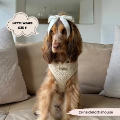 Festival Crochet Adjustable Neck Harness 36 Festival Crochet Adjustable Neck Harness -Cocopup London 3 104e0699 5124 41dc bcaf 5d4ec67ea1aa