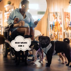 NAKD Adjustable Neck Harness - Bubblegum -Cocopup London 3 11475c08 d350 4446 8caf 55de03223282