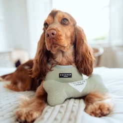 Sage Tweed Bone Toy 9 Sage Tweed Bone Toy -Cocopup London 3 246f113c 9c0f 4768 9280 ec33fa9c8f5d