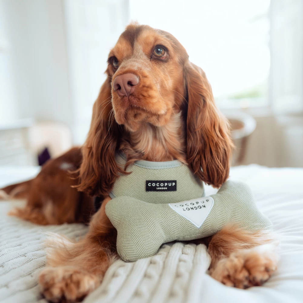 Sage Tweed Bone Toy 5 Sage Tweed Bone Toy - Image 3