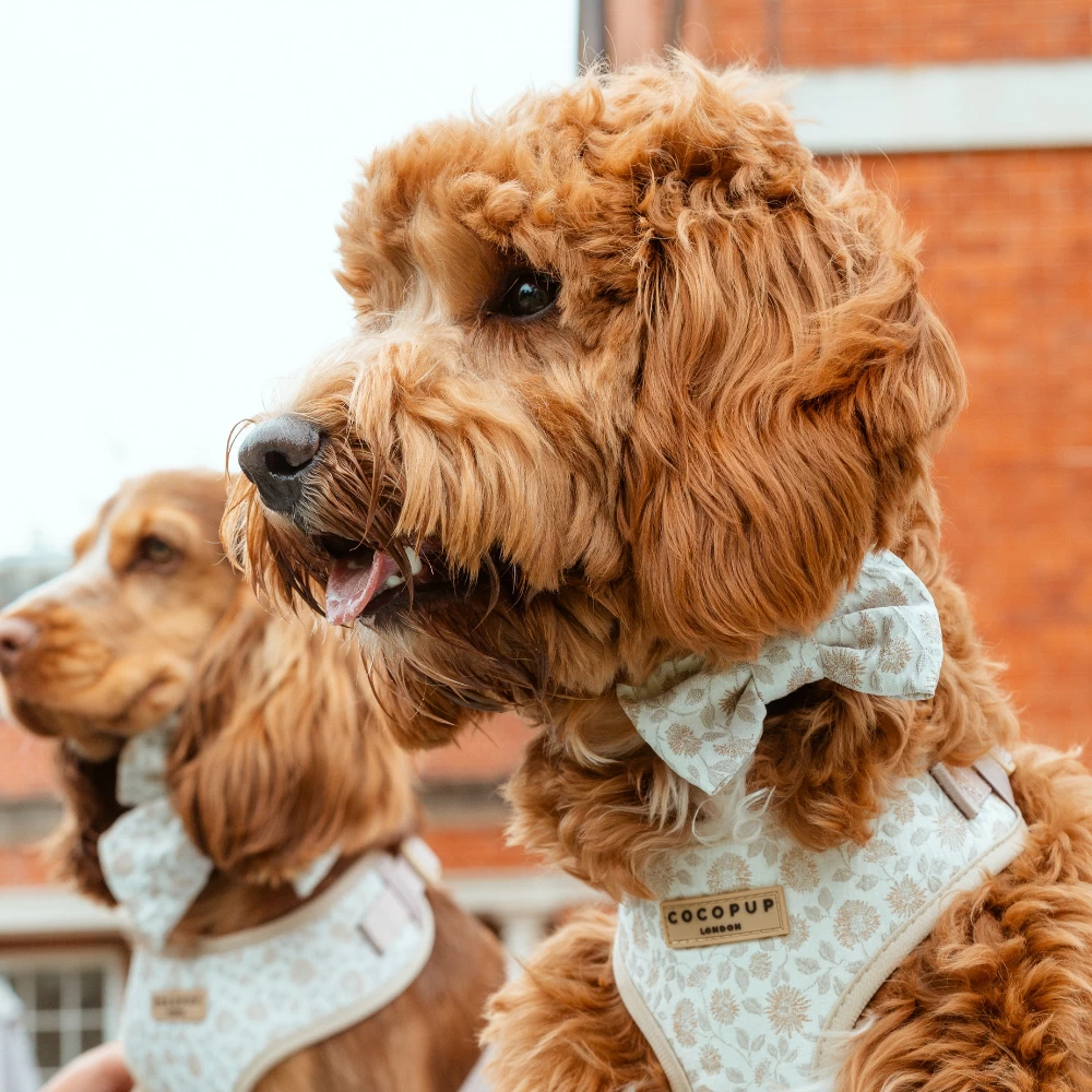 Luxe Bow Tie - Garden Meadow 5 Luxe Bow Tie - Garden Meadow - Image 3
