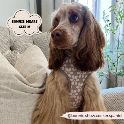 Luxe Adjustable Neck Harness - Mocha Flower -Cocopup London 3 3345bc8e d383 45c1 9b13 1123c9ecf5ff