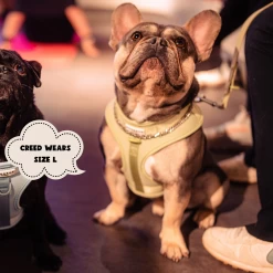 NAKD Adjustable Neck Harness - Matcha 34 NAKD Adjustable Neck Harness - Matcha -Cocopup London 3 336d2f6e 6ff3 4972 aa71 735f8e2bed9c