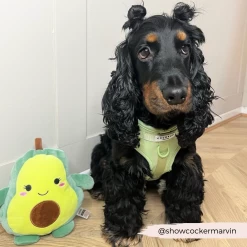 NAKD Adjustable Neck Harness, Lead, Collar & Poop Bag Holder Bundle - Matcha -Cocopup London 3 3e864b43 7958 4db4 b1ed 0a478dbdb349