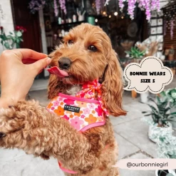 Summer Bloom Adjustable Neck Harness -Cocopup London 3 6605c146 a030 42f3 b007 bbe827186bcc