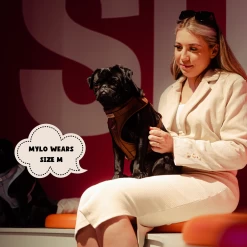 NAKD Adjustable Neck Harness, Lead, Collar & Poop Bag Bundle Bundle - Brownie -Cocopup London 3 6689d6d3 cb4a 4fbd bacf 0c8142aa7c07