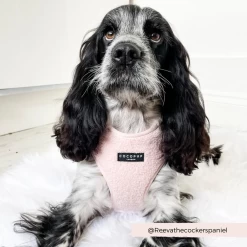 Teddy Adjustable Neck Harness - Love-a-Lot 37 Teddy Adjustable Neck Harness - Love-a-Lot -Cocopup London 3 81228695 6283 481f 9bb4 bce2746f9218