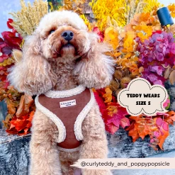 Brown Aviator Adjustable Neck Harness, Lead & Collar Bundle -Cocopup London 3 961762e4 7231 4f55 9c31 60f1fac6d497