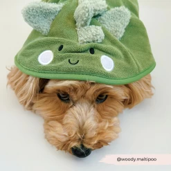 Dinopup Drying Robe 19 Dinopup Drying Robe -Cocopup London 3 b47595a2 10b6 4c85 aa64 96af3e0ef521