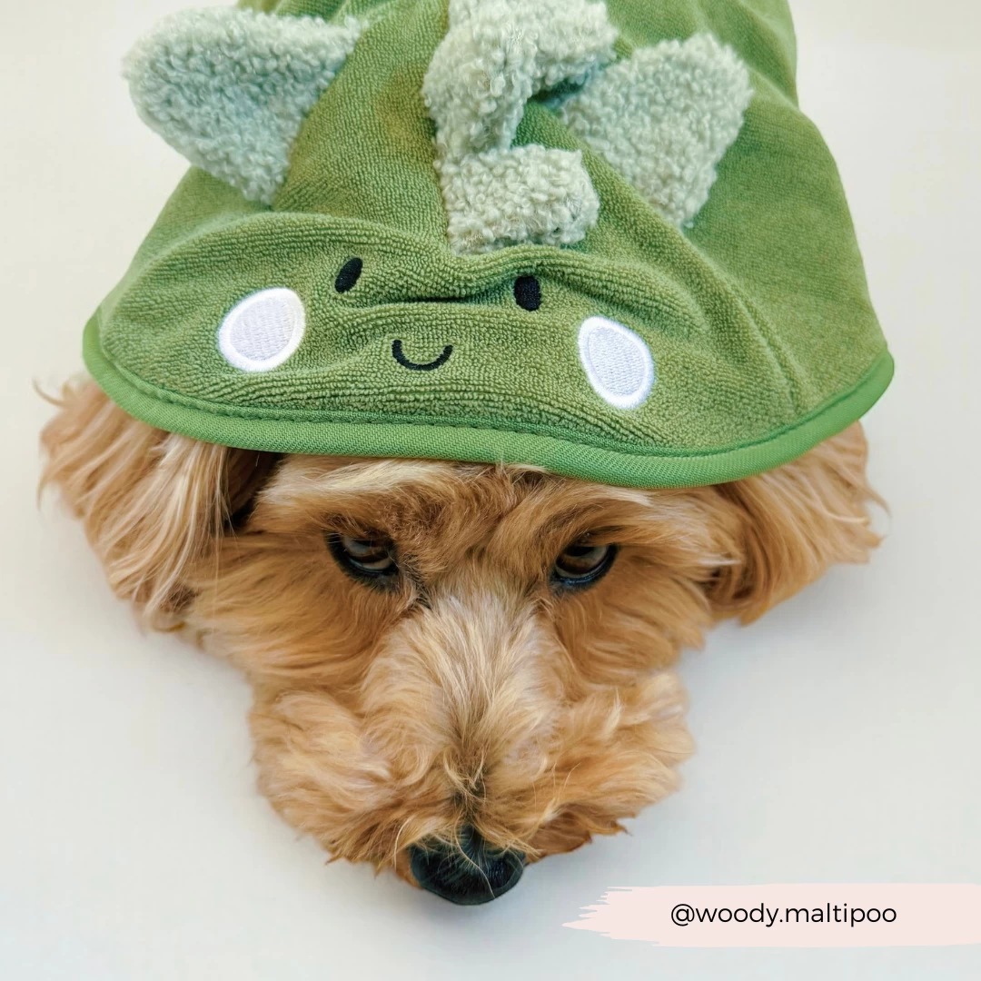 Dinopup Drying Robe 8 Dinopup Drying Robe - Image 6