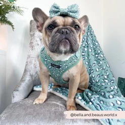 Sage Leopard Bow Tie -Cocopup London 3 bfc06592 2e61 4668 b83e 6bebffafcc13