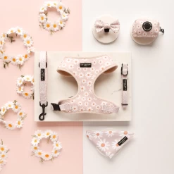 Daisy Chain Bow Tie -Cocopup London 3 c42c4a88 ddfe 4776 8444 2bcb95126f5a