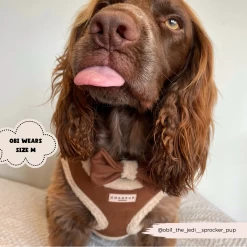 Brown Aviator Adjustable Neck Harness, Lead & Collar Bundle -Cocopup London 40 93c20037 f385 43fd a4db 222e232dcc2a