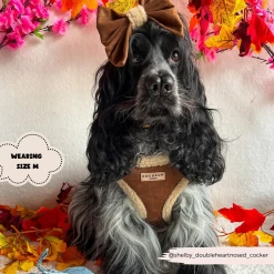 Brown Aviator Adjustable Neck Harness, Lead & Collar Bundle -Cocopup London 41 9b0cdec9 be0c 47a8 8404 1c58de06f475