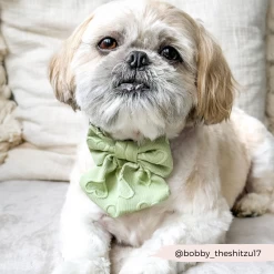 Luxe Sailor Bow Tie - Sage Heart -Cocopup London 44 4b666f11 883f 446a 8b1c ca5e4d3e117d