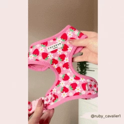 Pupberry Fields Adjustable Neck Harness -Cocopup London 454