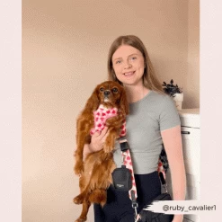 Dog Walking Black Bag Bundle - Pupberry Fields -Cocopup London 456 4b182731 d66e 4b0a ba87 3f6edb429ea3