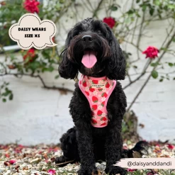 Pupberry Fields Adjustable Neck Harness -Cocopup London 461