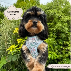 Dinopaws Adjustable Neck Harness -Cocopup London 464