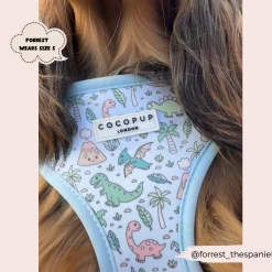 Dinopaws Adjustable Neck Harness, Lead & Collar Bundle -Cocopup London 470 08ff82ab 3ab8 4f24 a5b6 3b0879008f66