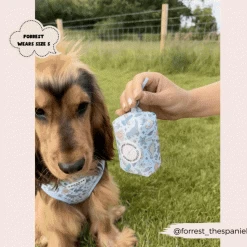 Dinopaws Poop Bag Holder -Cocopup London 471 5bf24cdc fd10 42e0 b4f3 3db86121f85d