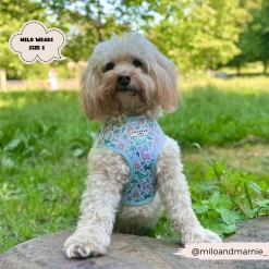 Dinopaws Adjustable Neck Harness -Cocopup London 475