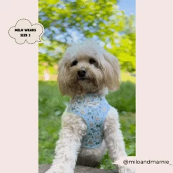 Dinopaws Adjustable Neck Harness, Lead & Collar Bundle -Cocopup London 477 d924ffe8 871e 484a 8e48 ebd9b90adfb8