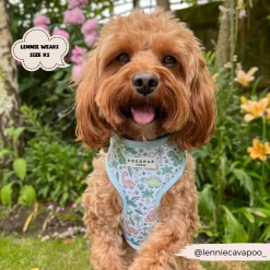 Dinopaws Adjustable Neck Harness, Lead & Collar Bundle -Cocopup London 479 c0897fb2 2029 449f 9d80 8b154d8dabd8