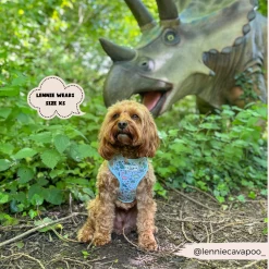 Dinopaws Adjustable Neck Harness, Lead & Collar Bundle -Cocopup London 480 057fb6ca 8254 4be9 accb d097042f8838