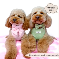 Luxe Baby Pink Heart Adjustable Neck Harness, Lead & Collar Bundle -Cocopup London 48 33f93986 bdbe 48eb 9abf f23577131984