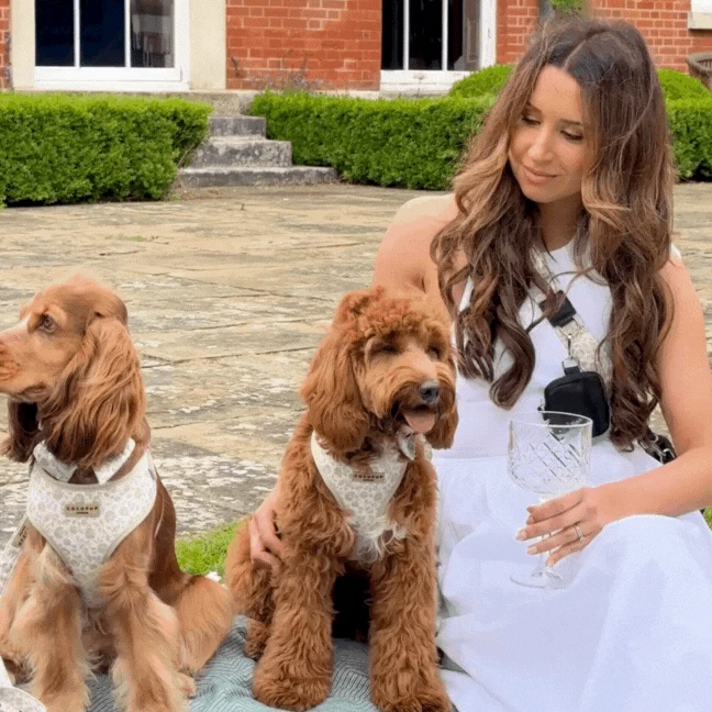 Luxe Dog Walking Bag Bundle - Garden Meadow 11 Luxe Dog Walking Bag Bundle - Garden Meadow - Image 9