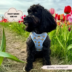 Smiley Pawty Tent Adjustable Neck Harness -Cocopup London 4 1053304b 93cf 489e 8b4b 3814ef1d0436