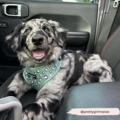 Sage Leopard Adjustable Neck Harness -Cocopup London 4 15188863 da72 430c 8d31 89eaef4a5144