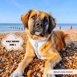 NAKD Adjustable Neck Harness - Bubblegum -Cocopup London 4 27f31759 0480 4db6 a7b3 1cb55faa0b04