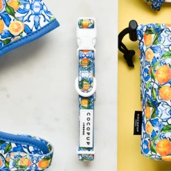 Amalfi Lemon Adjustable Neck Harness, Lead & Collar Bundle -Cocopup London 4 2ae89b99 1412 4b2f ab32 3696cdc751fb 1